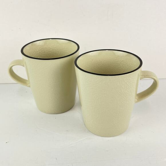 Crate & Barrel Kita Crackle Mugs Coffee Tea Cups Kathleen Wills Set of 2